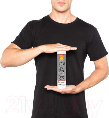 Смазка техническая Shell Gadus S5 V100 2