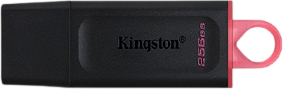 USB flash накопитель Kingston DataTraveler Exodia 256GB / DTXG2/256GB - фото