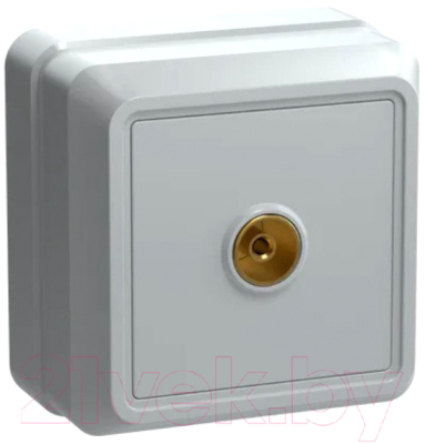 Розетка IEK Октава EAO10-K01-DC - фото