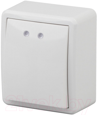 Выключатель ЭРА Эксперт 11-1202-01 / Б0020657 - фото