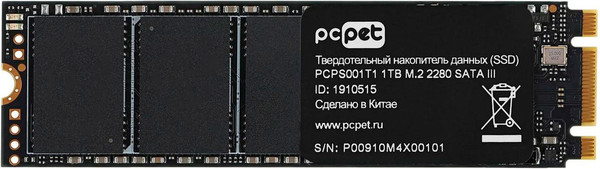 SSD диск PC Pet 1ТБ (PCPS001T1) - фото