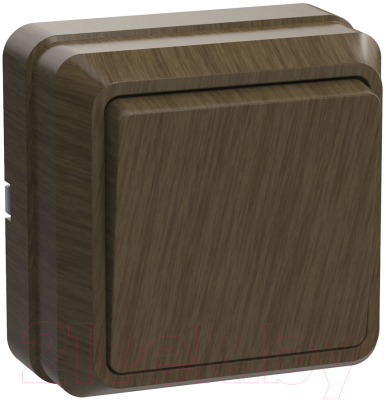 Выключатель IEK Октава EVO10-K04-10-DC - фото