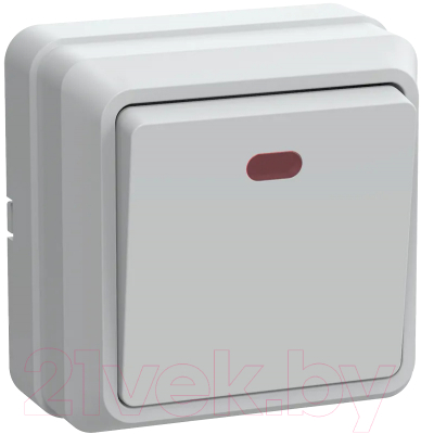 Выключатель IEK Октава EVO11-K01-10-DC - фото