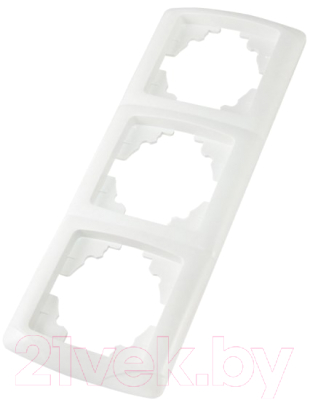Рамка для выключателей и розеток TDM Онега SQ1805-0028 - фото