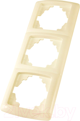 Рамка для выключателей и розеток TDM Онега SQ1805-0057 - фото