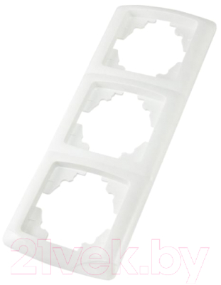 Рамка для выключателей и розеток TDM Онега SQ1805-0025 - фото