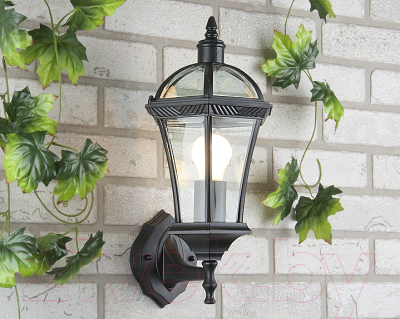 Бра уличное Elektrostandard Capella