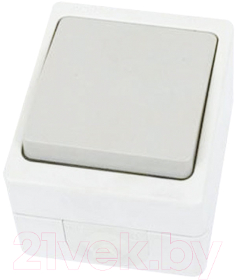 Выключатель TDM Вуокса SQ1803-0001 - фото