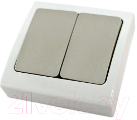 Выключатель TDM Вуокса SQ1803-0102 - фото