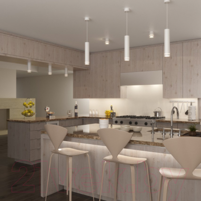 Потолочный светильник Elektrostandard DLR023 12W 4200K