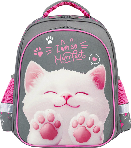 Школьный рюкзак Brauberg Standard. Purr Cat / 274427 - фото