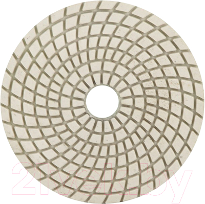 Шлифовальный круг Trio Diamond 351000 - фото