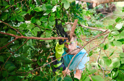 Сучкорез аккумуляторный Ryobi OLP1832BX / 5133004392