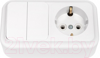 Блок выключатель+розетка Bylectrica Пралеска 2В-РЦ-529 / 210094 - фото