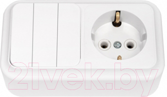 Блок выключатель+розетка Bylectrica Пралеска 3В-РЦ-531 / 210096 - фото