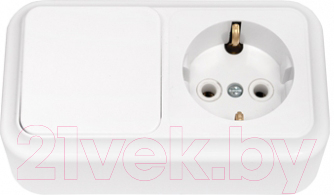 Блок выключатель+розетка Bylectrica Пралеска В-РЦ-527 / 210092 - фото