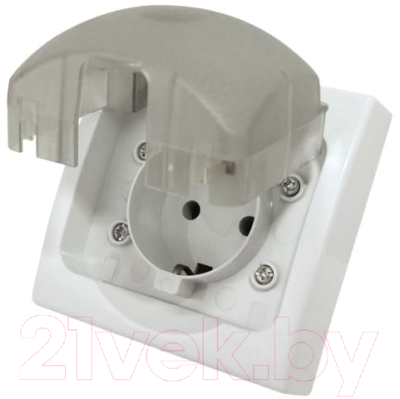 Розетка TDM Вуокса / SQ1803-0108 - фото