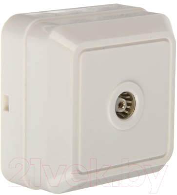 Розетка TDM Ладога / SQ1801-0025 - фото
