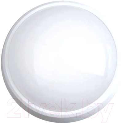 Светильник ЖКХ Leek LE LED RBL WH 15W LE / 061100-0019 - фото