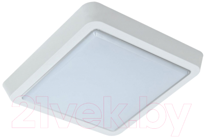 Светильник для подсобных помещений Leek LE LED BK SL 10W 6000K QS / LE 061200-161 - фото