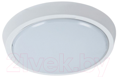 Светильник ЖКХ Leek LE LED BK RL 20W 6000K QS / LE 061200-160 - фото