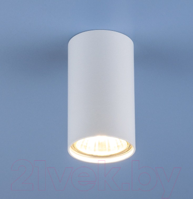 Точечный светильник Elektrostandard 1081 GU10 WH / 5255 - фото