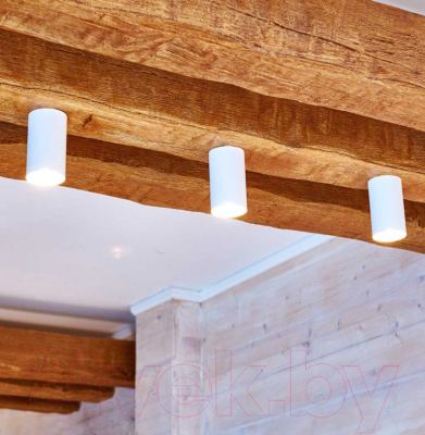 Точечный светильник Elektrostandard 1081 GU10 WH / 5255