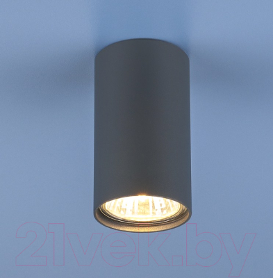 Точечный светильник Elektrostandard 1081 GU10 GR / 5256 - фото