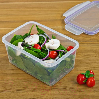 Контейнер Violet 93160