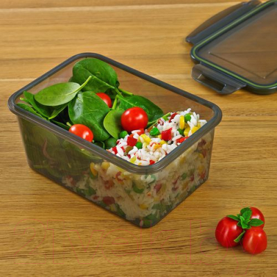 Контейнер Violet 93161