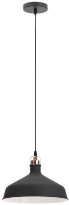 Потолочный светильник ЭРА PL2 BK/RC / Б0037413 - фото