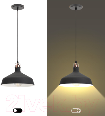 Потолочный светильник ЭРА PL2 BK/RC / Б0037413