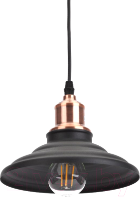 Потолочный светильник ЭРА PL4 BK/RC / Б0037438 - фото