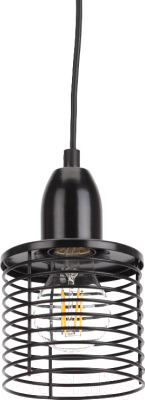 Потолочный светильник ЭРА PL5 BK / Б0037452 - фото