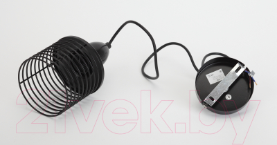 Потолочный светильник ЭРА PL5 BK / Б0037452