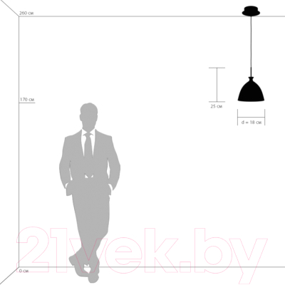 Потолочный светильник Lightstar Agola 810020