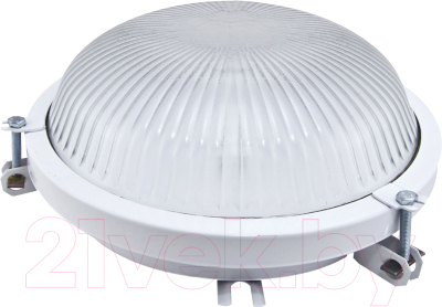 Светильник ЖКХ TDM SQ0329-0061 - фото