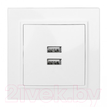 Розетка EKF Минск-2 СП USB 2.1А / ERR-2USB-100 - фото