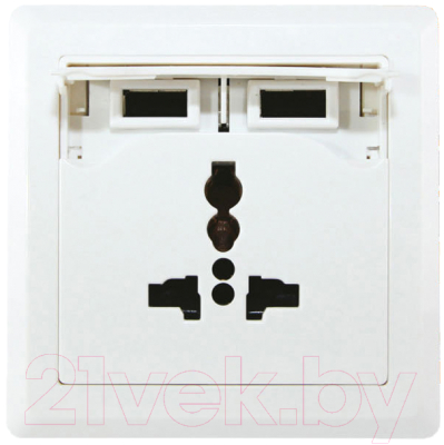 Розетка TDM SQ1816-0001 - фото