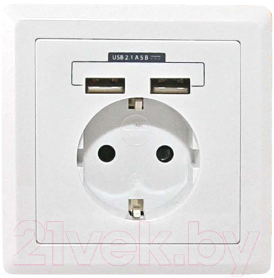 Блок розеточный TDM SQ1816-0002 - фото