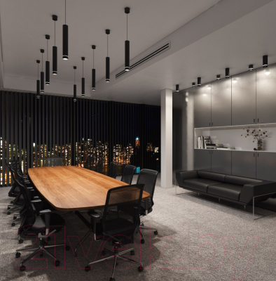 Потолочный светильник Elektrostandard DLR023 12W 4200K