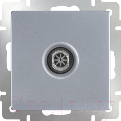 Розетка Werkel WL06-TV-2W / a033755 - фото