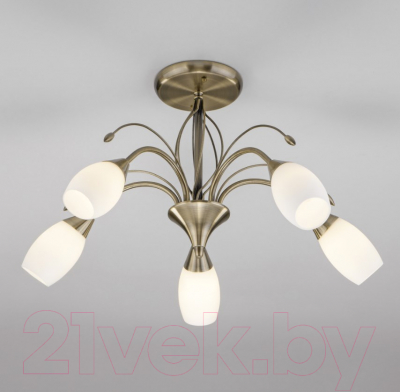 Люстра Евросвет Ginevra 30280/5 - фото