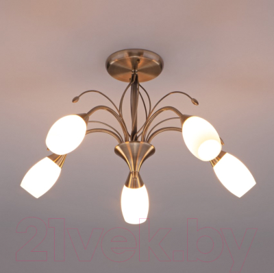 Люстра Евросвет Ginevra 30280/5