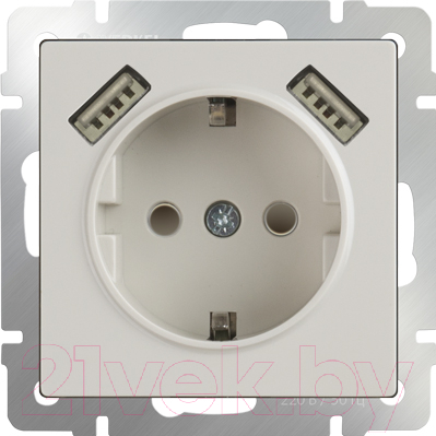 Розетка Werkel WL03-SKGS-USBx2-IP20 / a033476 - фото