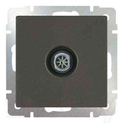 Розетка Werkel WL08-TV-2W / a033758 - фото