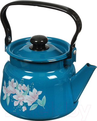 Чайник СтальЭмаль С2714.34 - фото