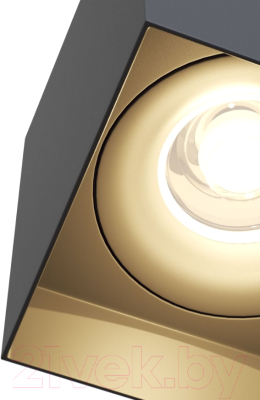 Потолочный светильник Maytoni Alfa C015CL-01B