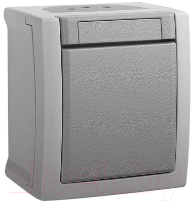 Выключатель Panasonic Pacific WPTC40012GR-BY - фото