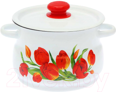 Кастрюля СтальЭмаль С1912.3 - фото